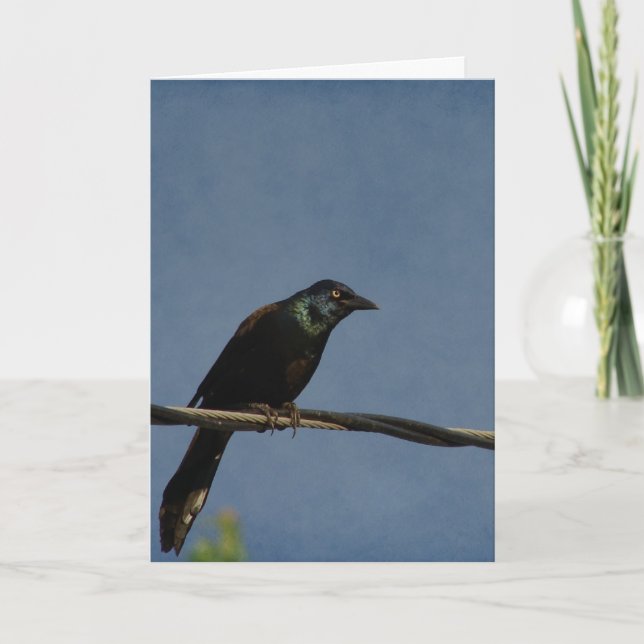 Grackle Power, Happy Birthday Card (Front)