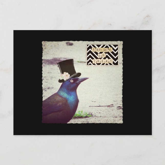 Grackle Trick or Treat Postcard (Front)