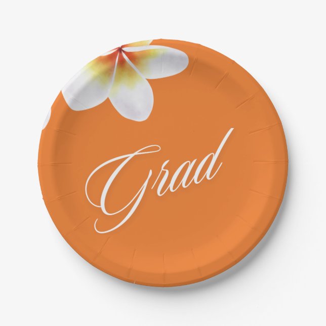 grad party balloon paper plates (Front)