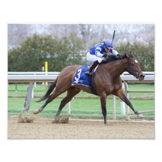 Grade 1, 2, and 3 Winners from Wood Memorial Day P Photo Print