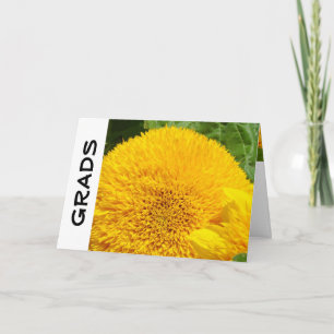 GRADS greeting cards Personalized Sunflowers