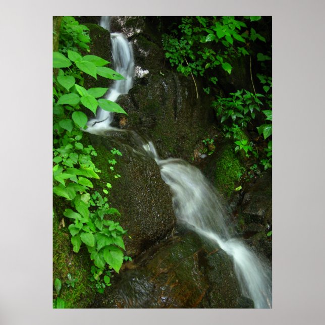 Gradual Growth Poster (Front)