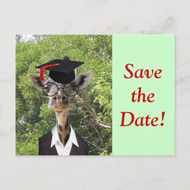 Graduate Giraffe Red Tassel Announcement Postcard (Front)