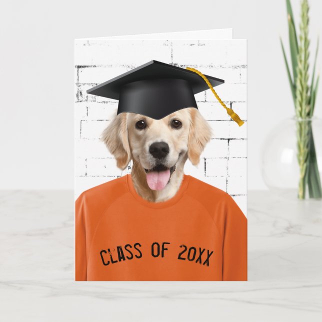 Graduate Golden Retriever Orange T-shirt Card (Front)