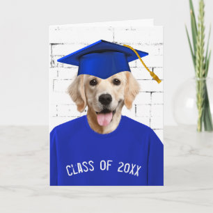Graduate Golden Retriever with Blue Cap  Card
