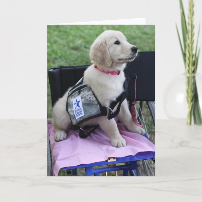 Graduate Lucy Card (Front)