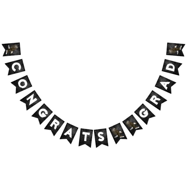 Graduation 2026 Bald Eagle On Leather Bunting Flags (All)