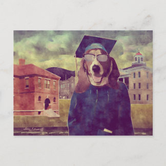 Graduation Basset Postcard