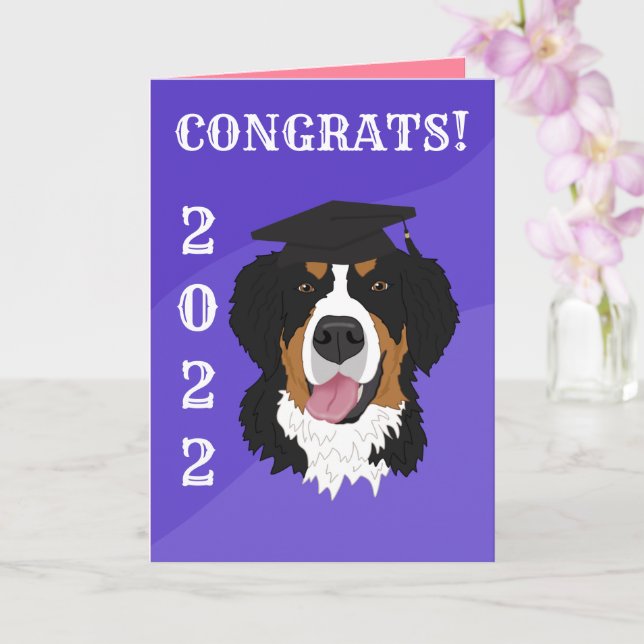 Graduation Bernese Mountain Dog  Card (Orchid)