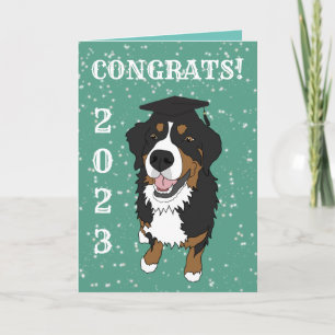 Graduation Bernese Mountain Dog Card