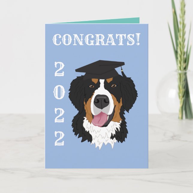 Graduation Bernese Mountain Dog  Card (Front)