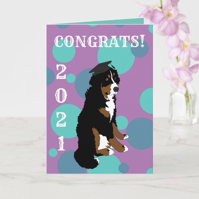 Graduation Bernese Mountain Dog  Card (Orchid)