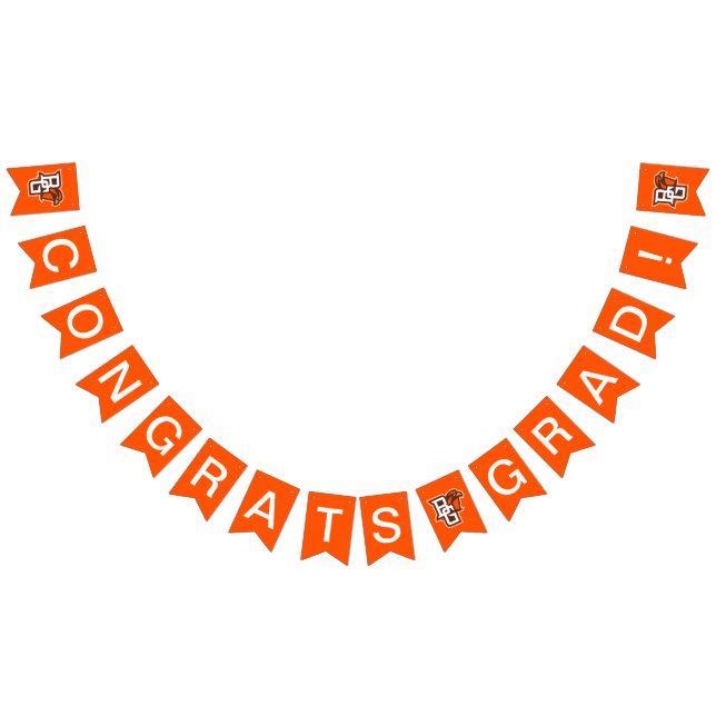 Graduation | BG Falcons Bunting Flags (All)