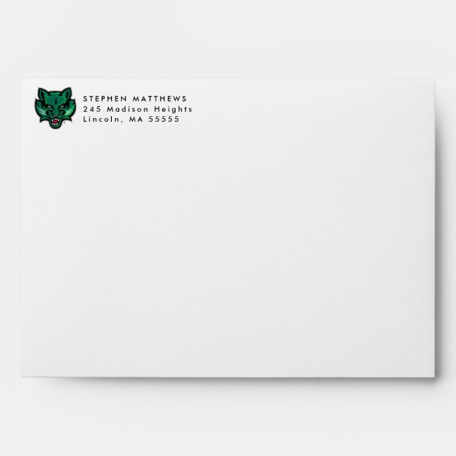 Graduation Binghamton Bearcats Logo Envelope (Front)