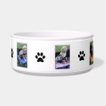 Graduation Bowl<br><div class="desc">Holly's Half Dozen parades around this bowl in their graduation pictures.</div>