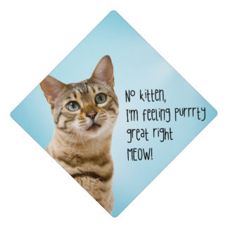 Graduation Cap Topper - Kitten