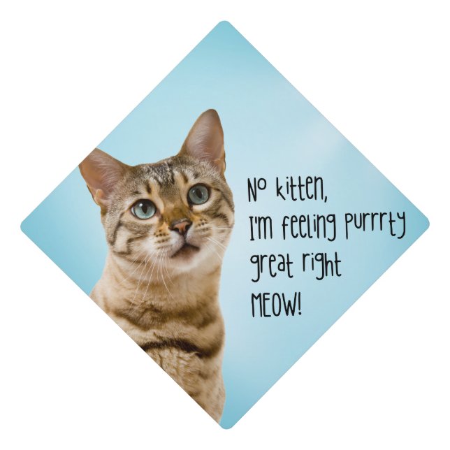 Graduation Cap Topper - Kitten (Front)