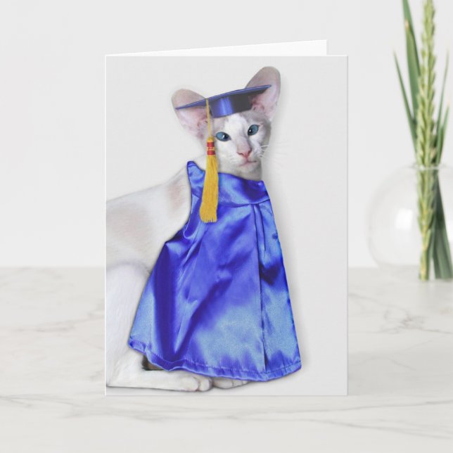 Graduation Cat Greeting Card (Front)