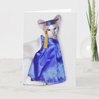 Graduation Cat Greeting Card