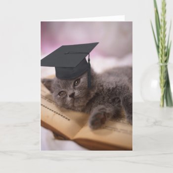 Graduation  Cat With Hat Card by patrickhoenderkamp at Zazzle