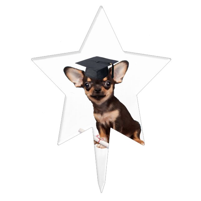 Graduation Chihuahua dog Cake Topper (Front)