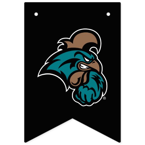 Graduation Coastal Carolina Bunting Flags Zazzle