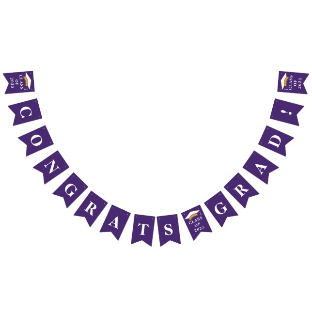 Graduation Congrats Purple Graduate Party 2025 Bunting Flags (All)