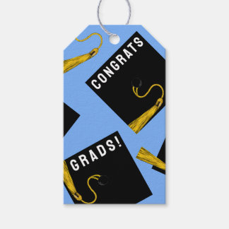 Graduation Congrats Senior Class Light Blue Gift Tags
