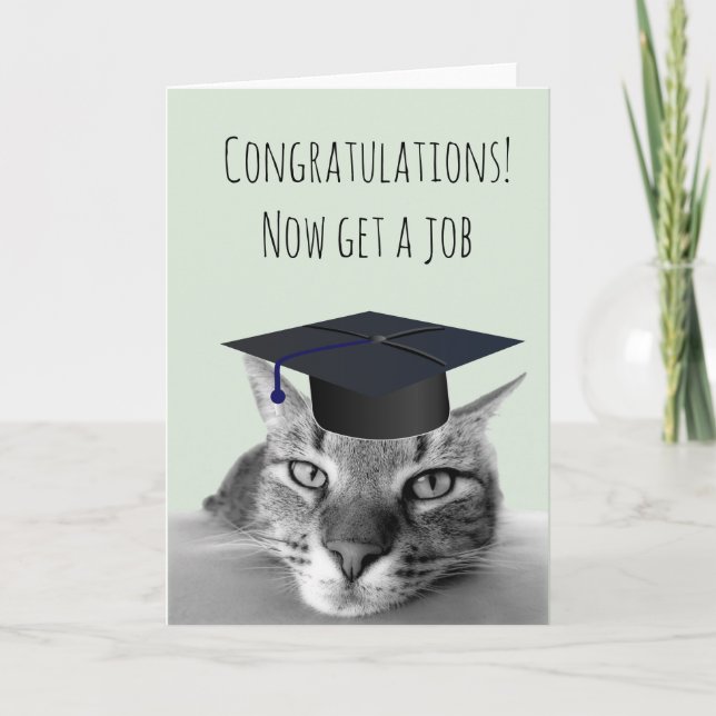 Graduation Congratulations Angry Cat Humor Card (Front)