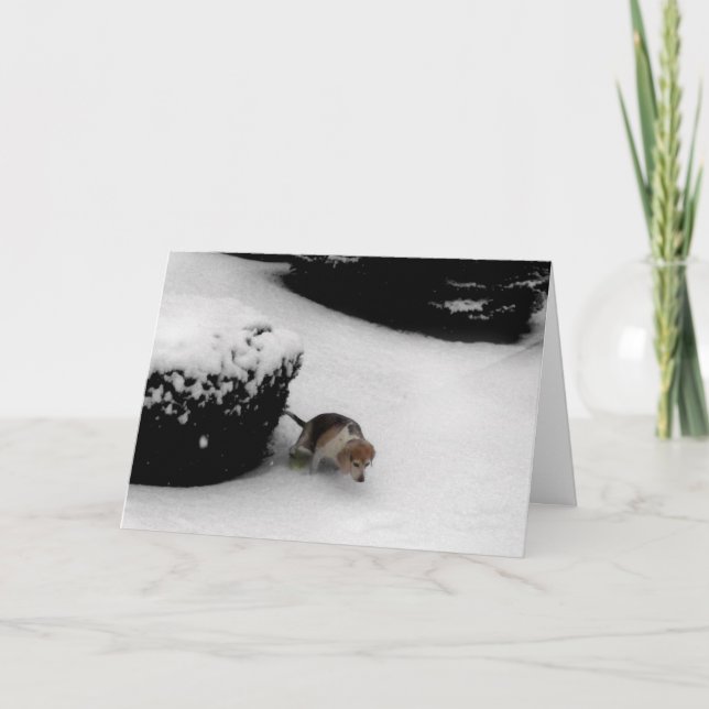 GRADUATION CONGRATULATIONS CARD (Front)