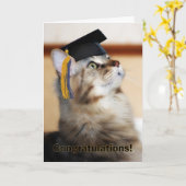 Graduation Congratulations Cat Wearing Mortarboard Card (Yellow Flower)