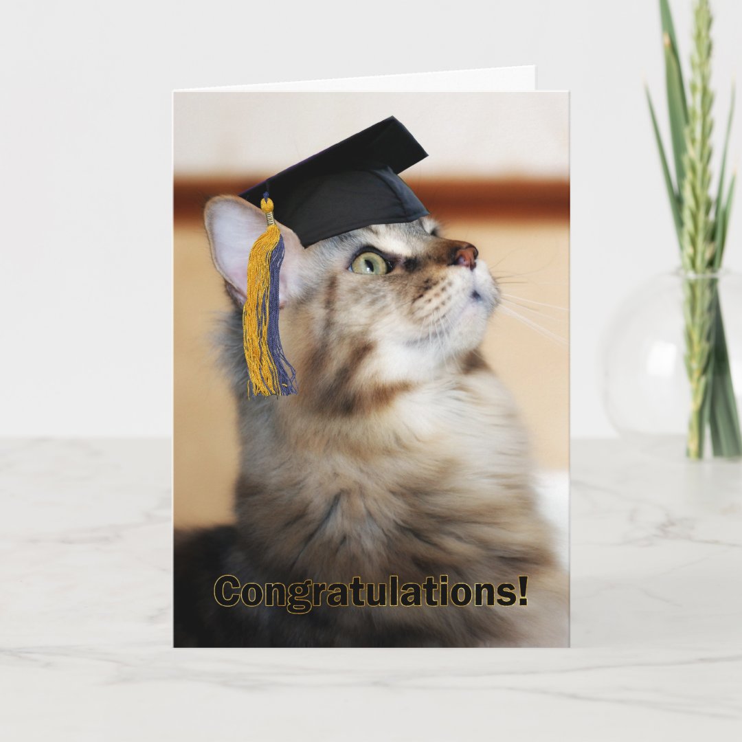 Graduation Congratulations Cat Wearing Mortarboard Card | Zazzle