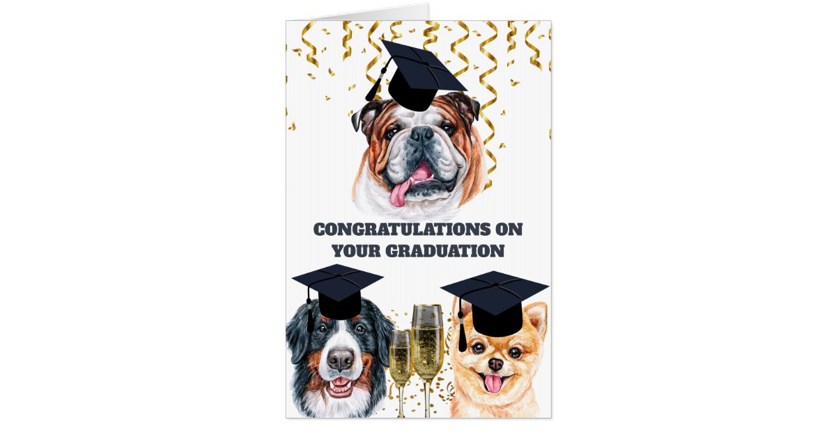 congratulations funny dog