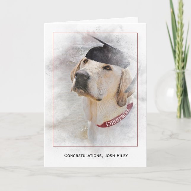 graduation congratulations-Labrador Retriever Card (Front)