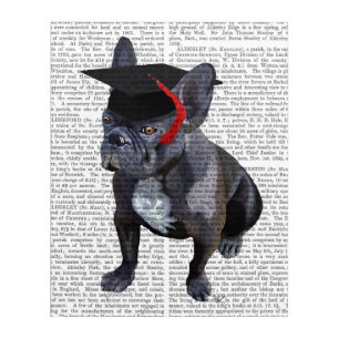 Graduation French Bulldog Acrylic Print