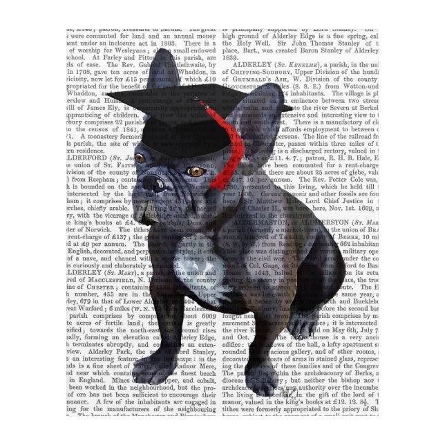 Graduation French Bulldog Acrylic Print (Front)