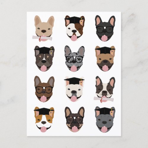 Graduation French Bulldog Faces Postcard