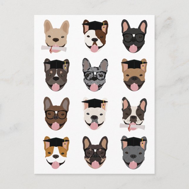 Graduation French Bulldog Faces Postcard (Front)