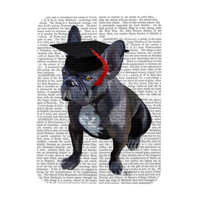 Graduation French Bulldog Magnet (Vertical)