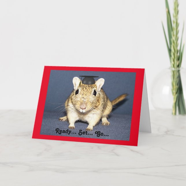 Graduation Gerbil Card (Front)