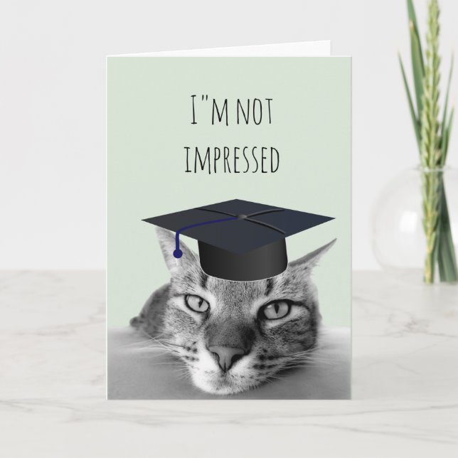 Graduation Not Impressed Angry Cat Humor Card (Front)