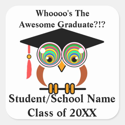 Graduation Owl Fun Colorful Personalize for Free Square Sticker