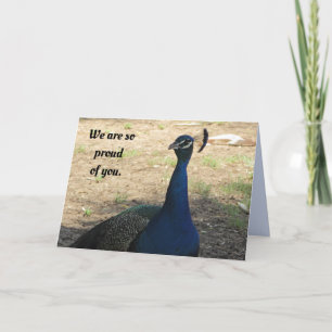 Graduation Proud of You Peacock Graduate Holiday Card
