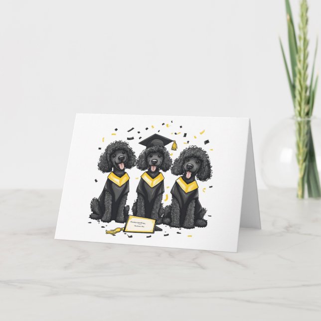 Graduation Standard Poodle Dogs Card (Front)