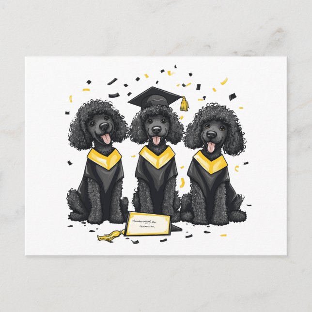 Graduation Standard Poodle Dogs Postcard (Front)
