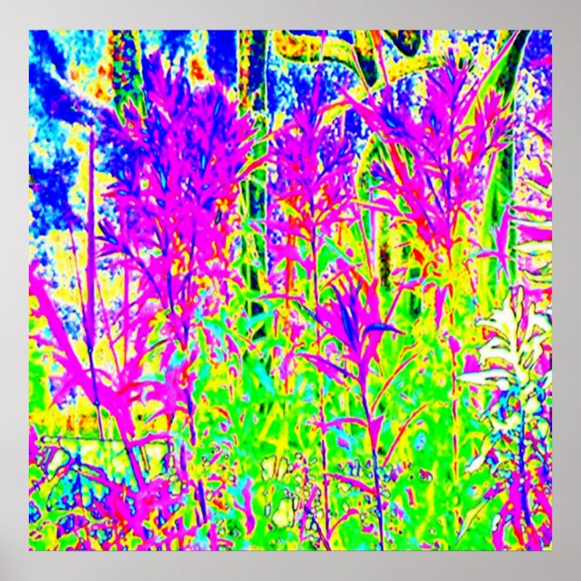 Graffiti n Plants : Humber River Bridge Toronto Poster (Front)