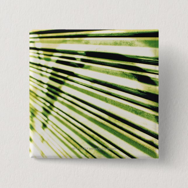 Graffiti on a shutter button (Front)