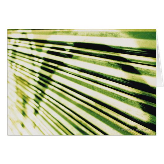 Graffiti on a shutter cards (Front Horizontal)