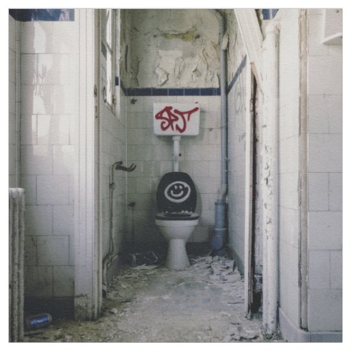 Graffiti Themed, Graffiti Spraypainted On A Toilet Fabric