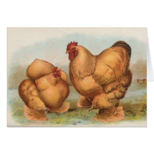 Graham - Buff Cochin Chickens Cards (Front Horizontal)